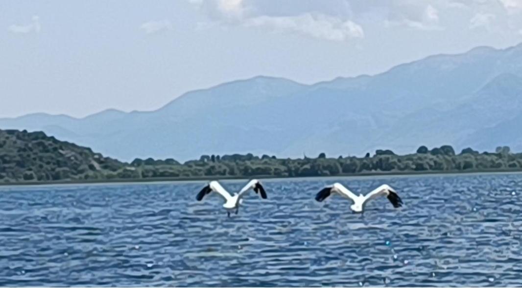 בית נופש Haustor With Skadar View *