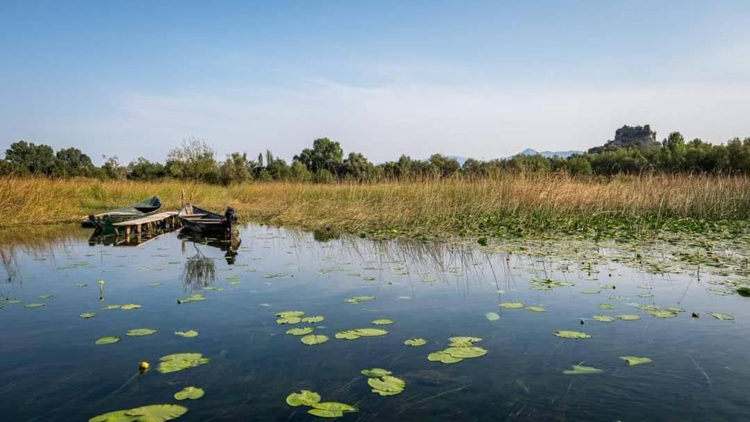 Haustor With Skadar View בית נופש פודגוריצה