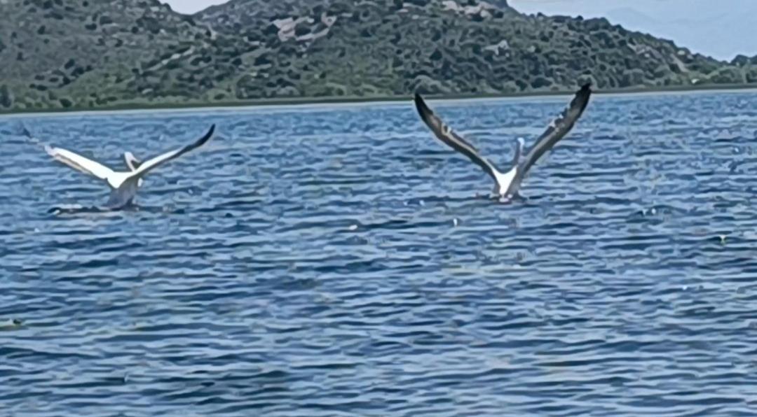 Haustor With Skadar View * פודגוריצה