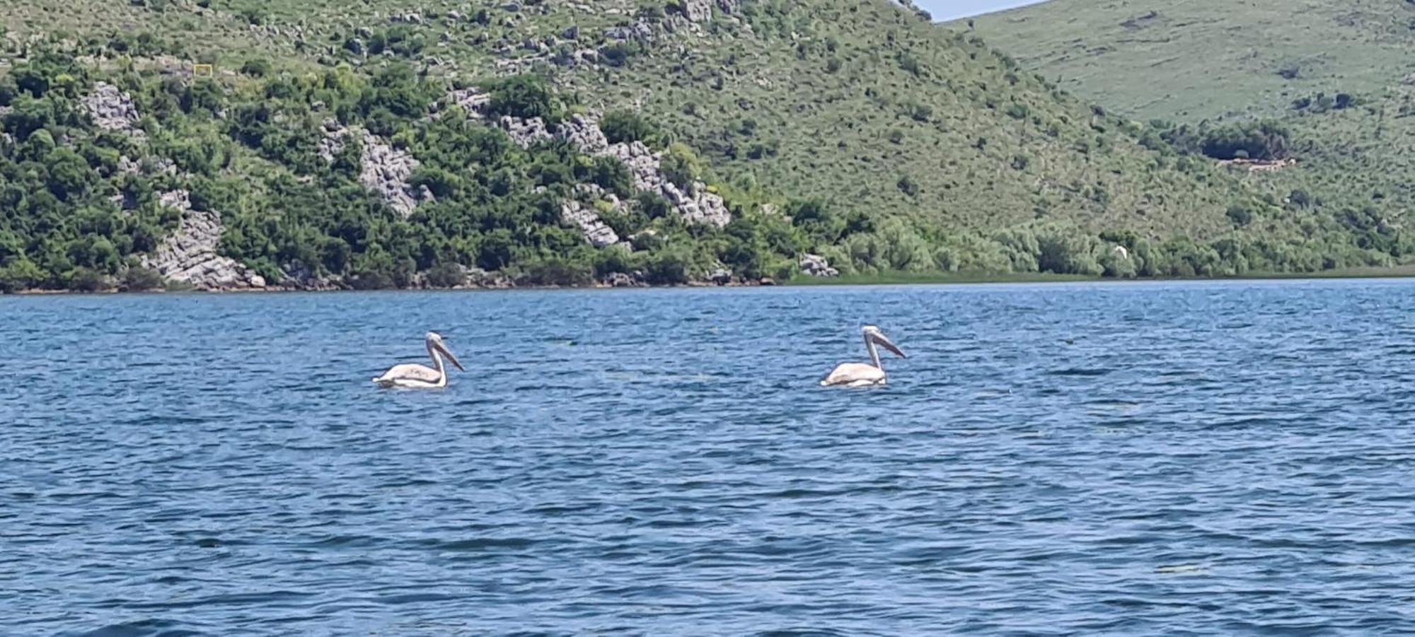 Haustor With Skadar View פודגוריצה