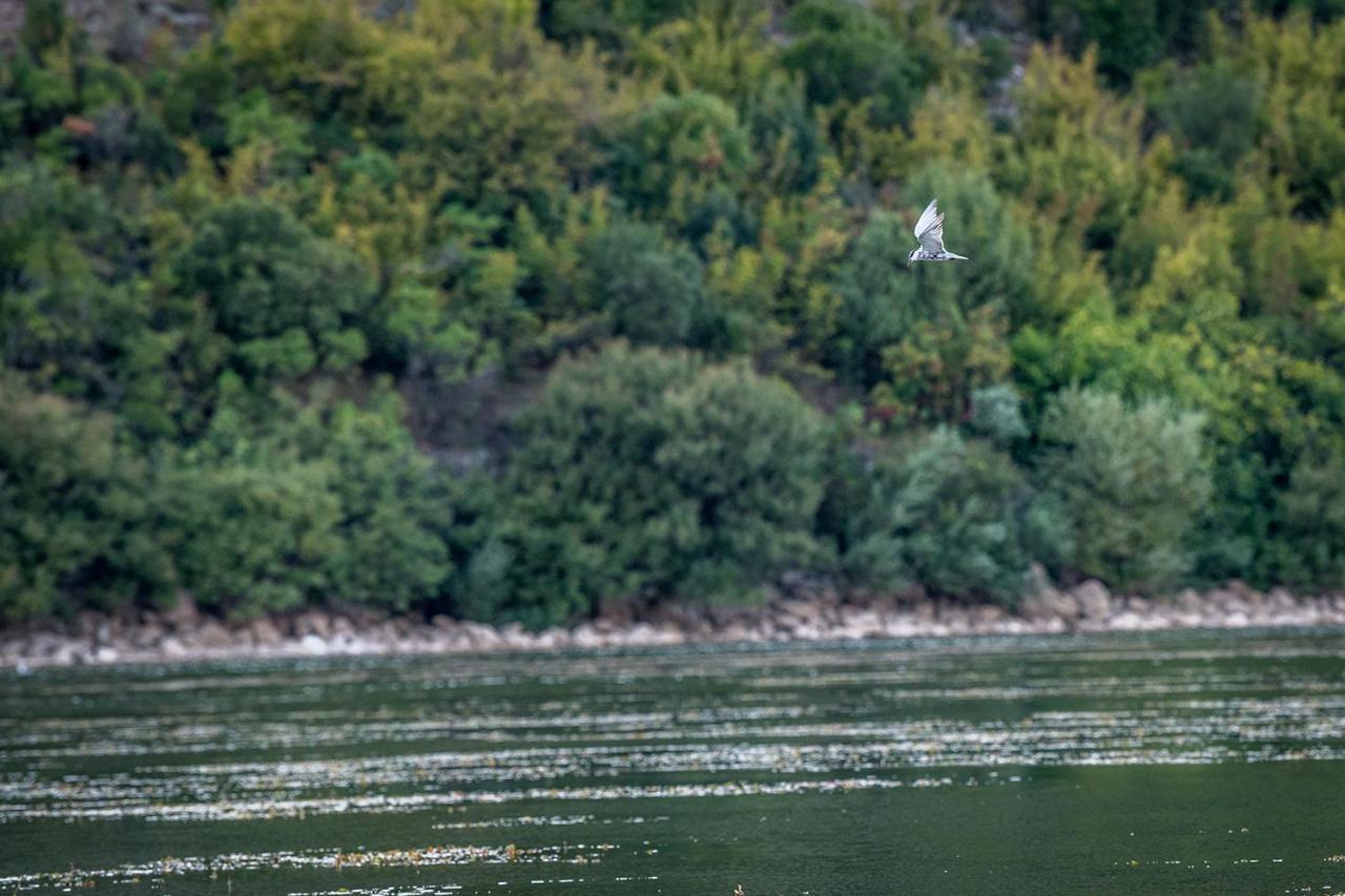 Haustor With Skadar View פודגוריצה