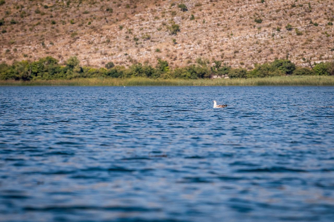 בית נופש Haustor With Skadar View פודגוריצה